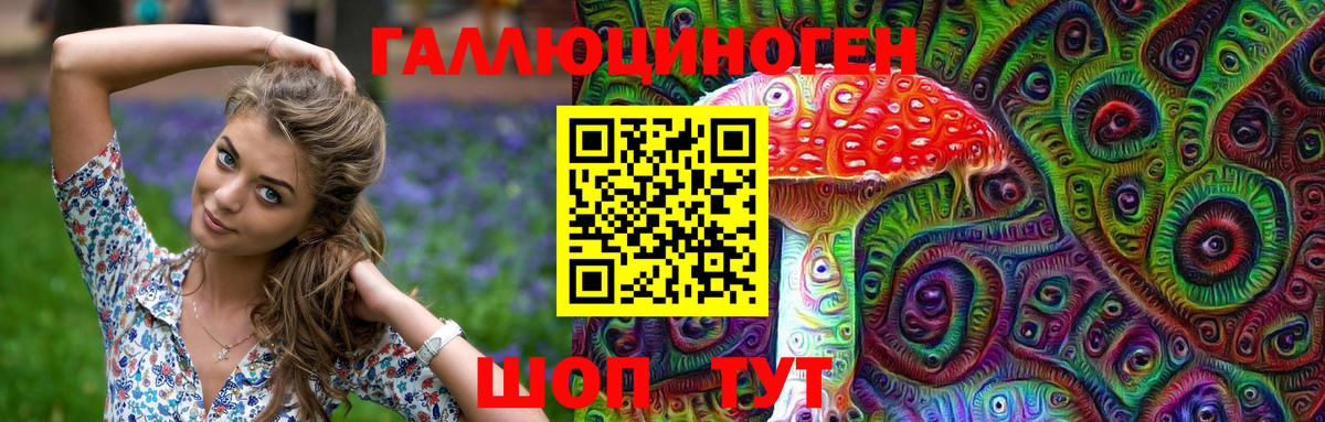 Псилоцибиновые грибы ЛСД  Псилоцибиновые грибы MAGIC MUSHROOMS  купить наркоту  Ессентуки  Вход с VPN 