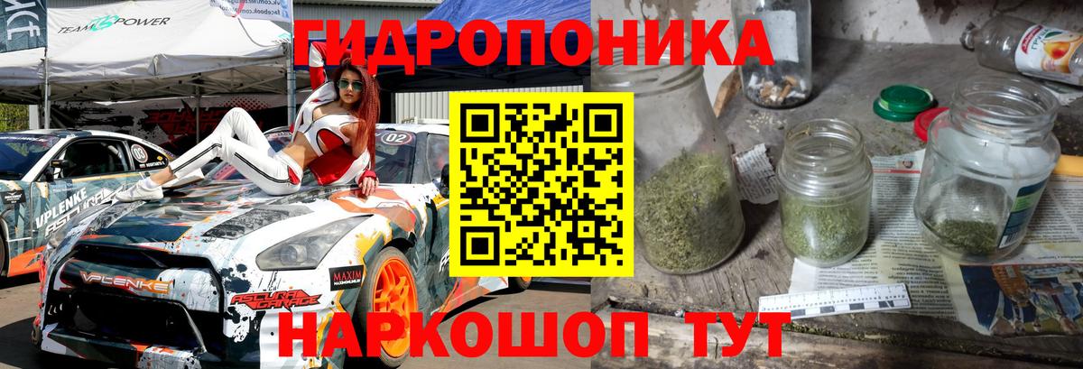 Конопля ГИДРОПОН Ессентуки